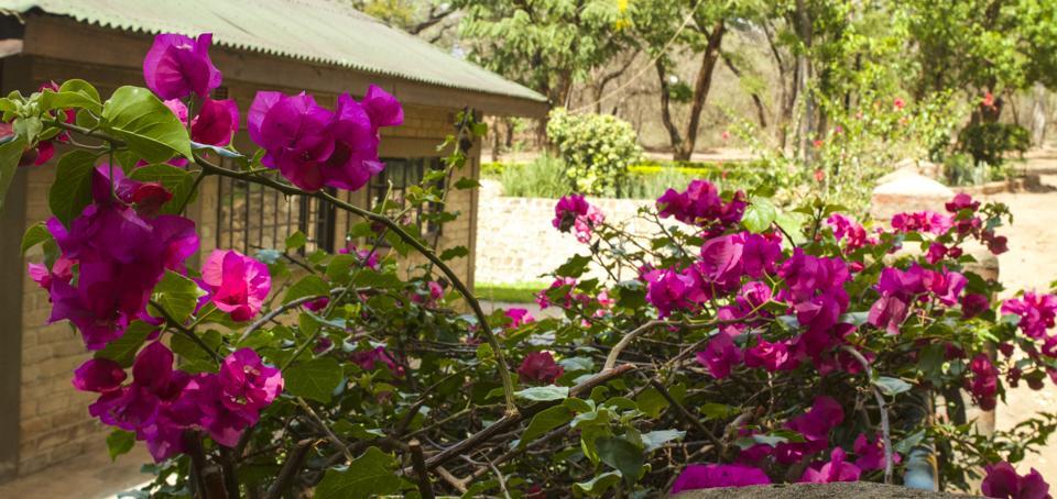 فندق Woodlands ليلونغوي المظهر الخارجي الصورة